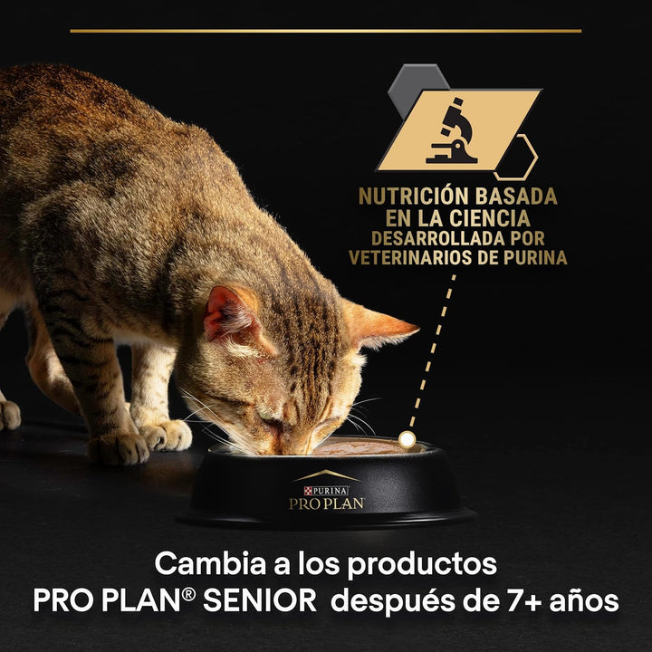 Purina Pro Plan Hrană umedă pentru pisici, pentru adulți, delicat bogată în curcan și pește, 4 pachete a 10 pungi a 85 g