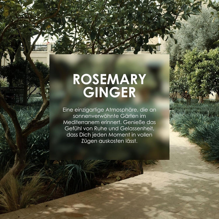 Jean & Len Scent Experience Rosemary & Ginger, Apă de toaletă cu aromă de rozmarin și ghimbir, Mini parfum practic, Ideal pentru călătorii, Sticlă de înaltă calitate, 10 ml