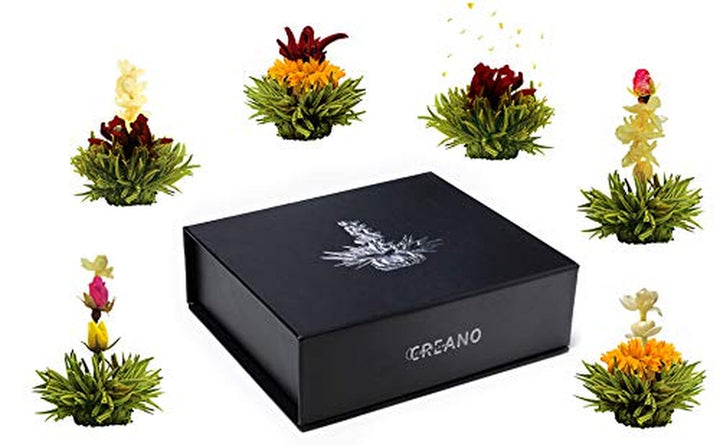 Creano 6 flori de ceai cutie cadou Ceai verde în cutie magnetică elegantă cu imprimeu argintiu - 6 sortimente diferite - cadou de Crăciun