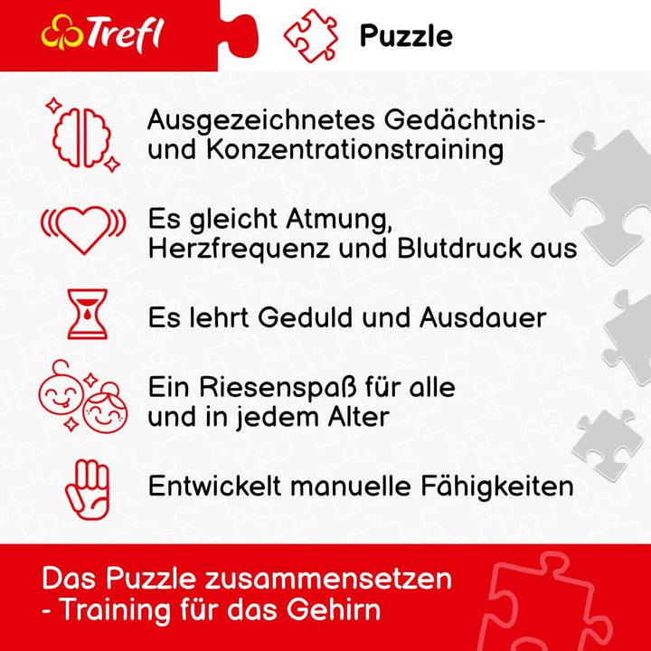 Trefl - Puzzle 2In1: Capitale europene - 2 X 500 piese - Set de două puzzle-uri, Bricolaj, Divertisment creativ, Pentru adulți și copii peste 10 ani Puzzle Naty Shop