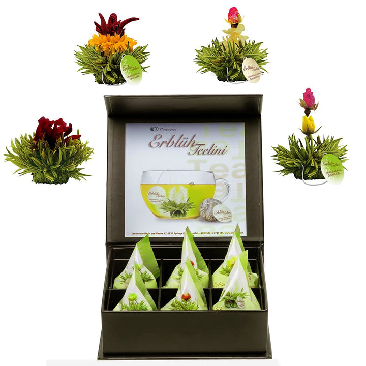 Creano 6 flori de ceai cutie cadou Ceai verde în cutie magnetică elegantă cu imprimeu argintiu - 6 sortimente diferite - cadou de Crăciun