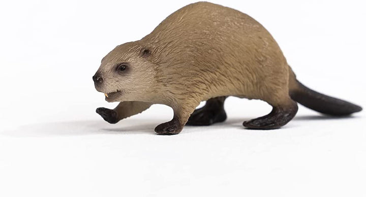 Beaver Beaver Action figures Naty Shop