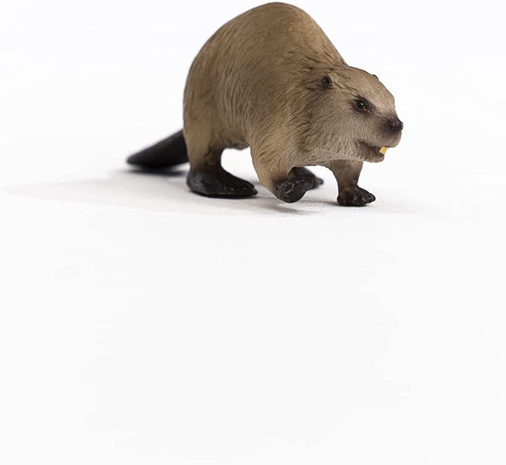 Beaver Beaver Action figures Naty Shop