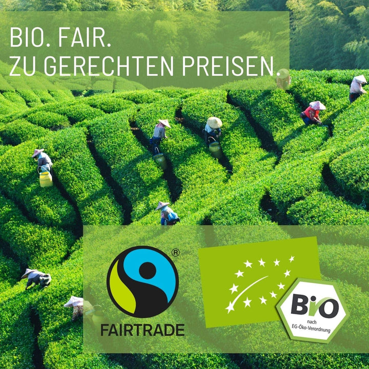 Teeverliebt - Ceai de plante alcalin 1000 g ceai vrac cu 49 de plante organice selectate, ceai alcalin pentru bunăstare cu păpădie, rădăcină de alant, salvie, urzică, scorțișoară, măr și multe altele.