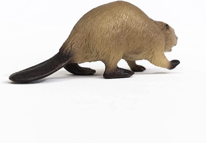 Beaver Beaver Action figures Naty Shop