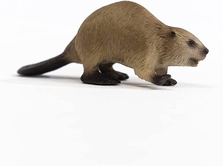 Beaver Beaver Action figures Naty Shop