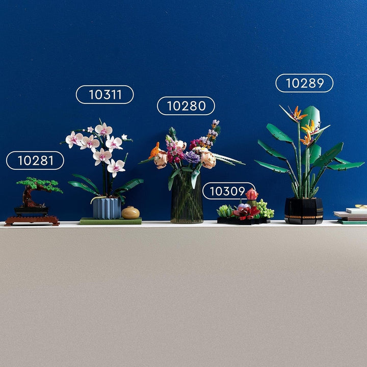 LEGO Botanicals Succulents - Set de construcție flori artificiale pentru adulți - Set de construcție buchet de flori - Hobby creativ și decorațiuni pentru casă - Idee de cadou pentru femei și bărbați - Colecție botanică (9 plante) 10309 Seturi de constructie Besuche den LEGO-Store