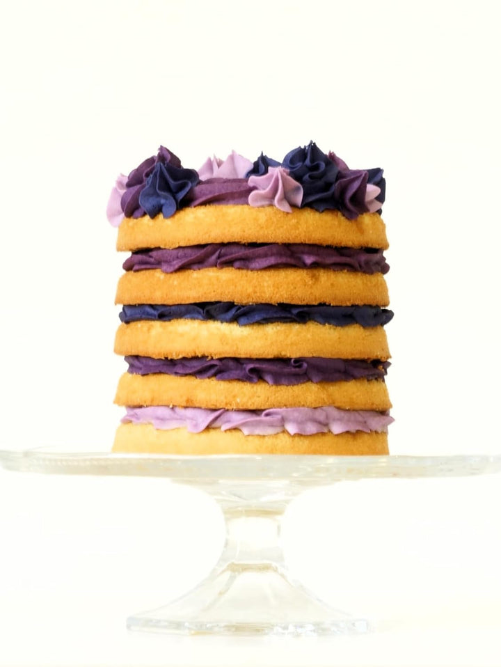 Sugarflair Pasta Lebensmittelfarben Purple Set/4, Pasta Lebensmittel Farben Für Fondant, Marzipan, Zuckerpaste, Buttercreme Und Mehr: Violet, Lavender, Grape Violet, Deep Purple - Set/4 Coloranti Alimentari Naty Shop