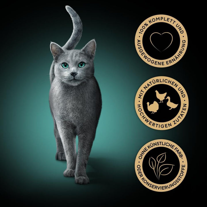 Sheba Portion Bag Wet Cat Food Multipack Fresh Cuisine Taste of Rome With Turkey And Chicken, 6X6X50G - Hrană fină pentru pisici făcută din curcan și pui