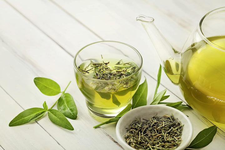 Ceai verde Meßmer cu ghimbir și miere | 25 pliculețe de ceai | Vegan | Fără gluten | Fără lactoză