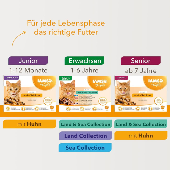 IAMS Delights Senior Cat Food Wet - Multipack cu pui în jeleu, hrană umedă de înaltă calitate pentru pisici mai în vârstă de la 7 ani, 12 X 85 G