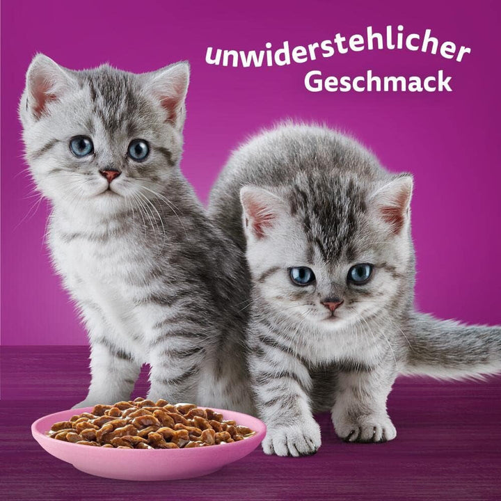 Hrană umedă pentru pisici Whiskas Junior Classic Choice în sos, 48 de pliculețe, 12X85G (pachet de 4) - Hrană umedă pentru pisici de înaltă calitate, pentru pisici în creștere de la 2 la 12 luni