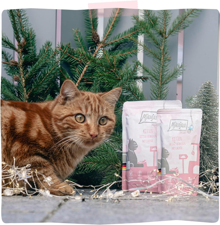 Mjamjam - Hrană umedă premium pentru pisici - Kitten Juicy Chicken cu ulei de somon, pachet de 6 (6 X 200 G), fără cereale, cu extra carne