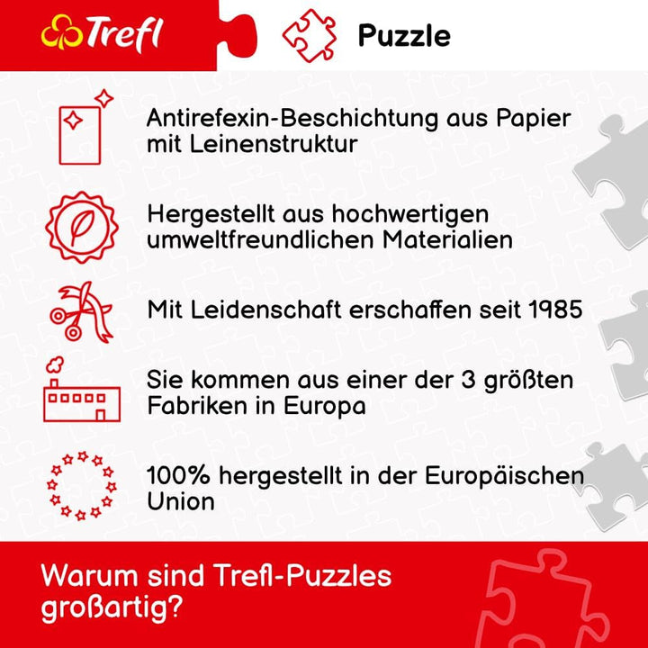 Trefl - Puzzle 2In1: Capitale europene - 2 X 500 piese - Set de două puzzle-uri, Bricolaj, Divertisment creativ, Pentru adulți și copii peste 10 ani Puzzle Naty Shop