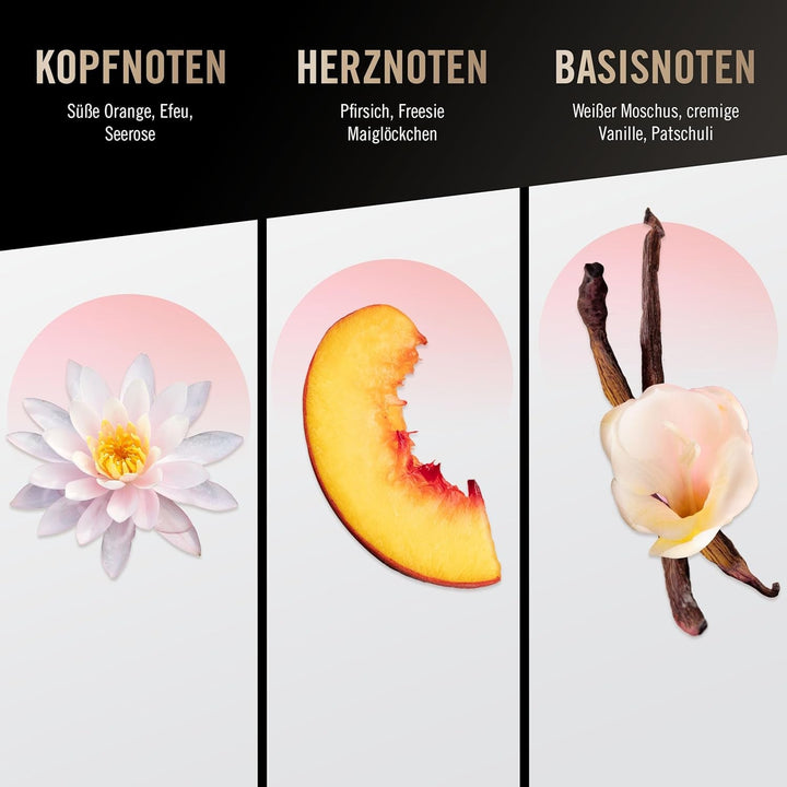 Bruno Banani Woman – Apă de Toaletă Spray Natural – Parfum Floral-Fructat pentru Femei – 1 Pachet (1 x 50 ml)