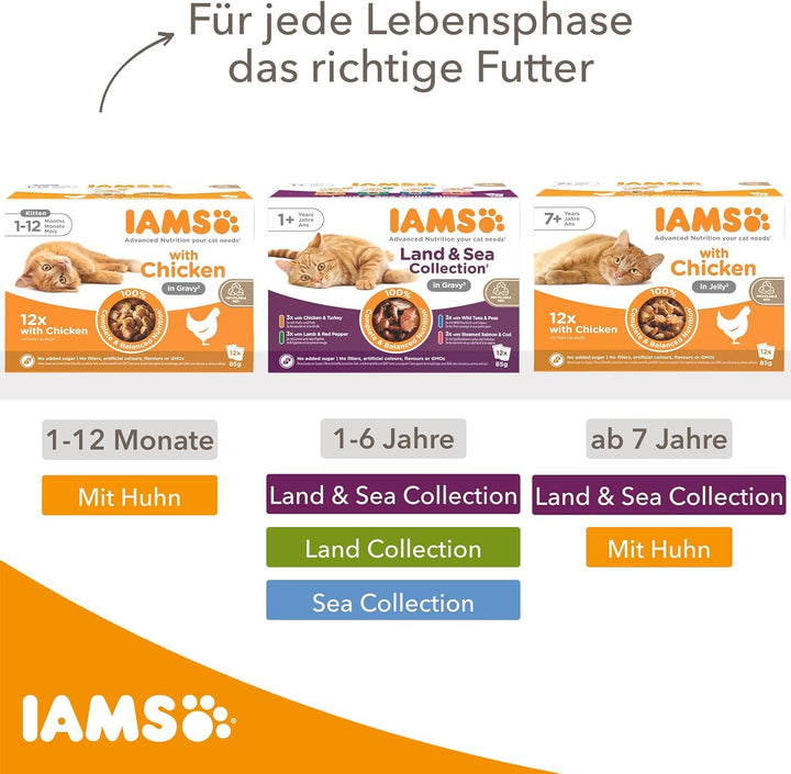 IAMS Delights Senior Cat Food Wet - Multipack cu pui și pește în sos, hrană umedă de înaltă calitate pentru pisici bătrâne de la 7 ani, 12 X 85 G