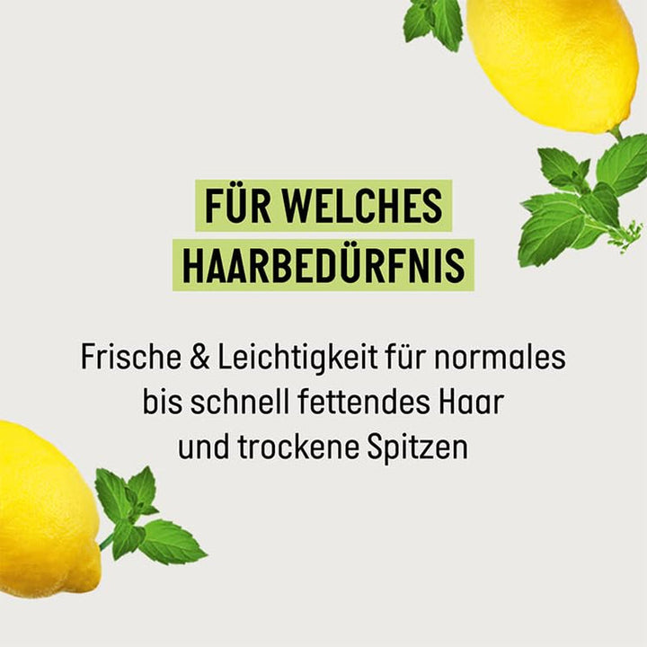 Guhl Freshness & Lightness Anti Grease Shampoo, par normal si gras Guhl