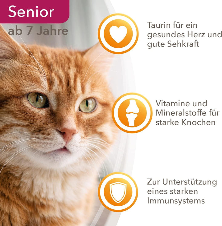 IAMS Delights Senior Cat Food Wet - Multipack cu pui în jeleu, hrană umedă de înaltă calitate pentru pisici mai în vârstă de la 7 ani, 12 X 85 G