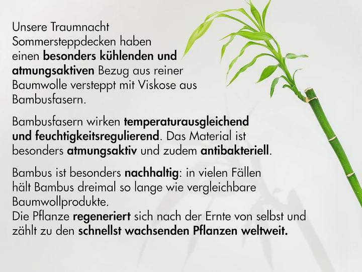 Traumnacht Pernă din bambus cu fibre de bambus, hipoalergenic, antibacterian Set de perne cu fermoar, format din 2 perne 40X80Cm, certificat Oeko-Tex, dezvoltat în Germania Perne standard Naty Shop
