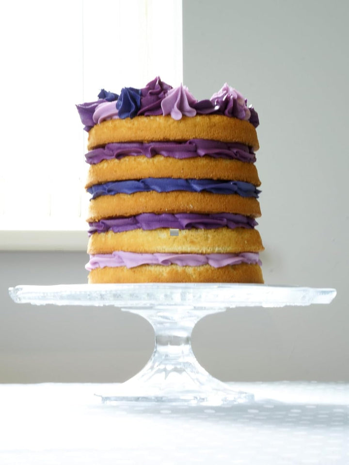 Sugarflair Pasta Lebensmittelfarben Purple Set/4, Pasta Lebensmittel Farben Für Fondant, Marzipan, Zuckerpaste, Buttercreme Und Mehr: Violet, Lavender, Grape Violet, Deep Purple - Set/4 Coloranti Alimentari Naty Shop