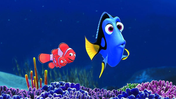 Imagine comestibila, vafa, format A4, Nemo Imagini comestibile Nati Shop