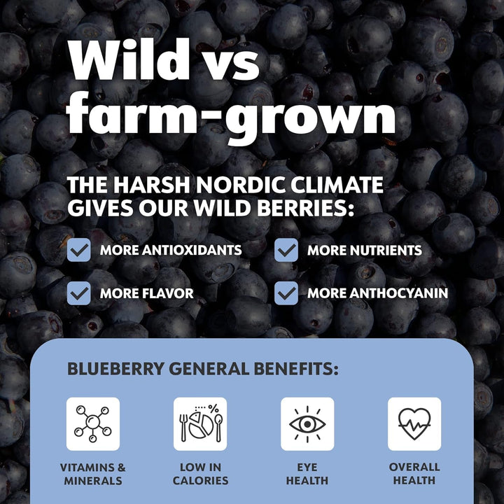 LOOV Organic Wild Blueberry Powder - rezervă pentru 29 de zile, 171 g, bună pentru smoothie-uri și mic dejun, congelată și uscată, din Europa de Nord, fără zahăr adăugat Produse deshidratate Naty Shop